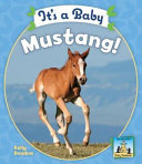 It's a Baby Mustang! cover