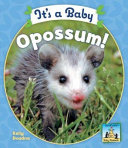 It's a Baby Opossum! cover