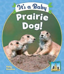 It's a Baby Prairie Dog! cover