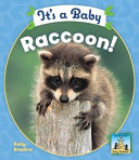 It's a Baby Raccoon! cover