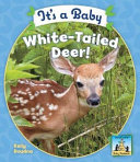 It's a Baby White-Tailed Deer! cover