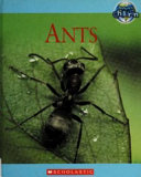 Ants (Second Series) cover