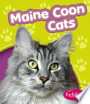 Maine Coon Cats cover