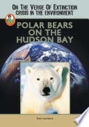 Polar Bears on the Hudson Bay cover