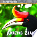 Amazing Beaks cover