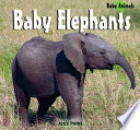 Baby Elephants cover