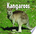 Kangaroos cover