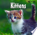 Kittens cover