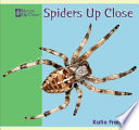 Spiders up Close cover