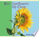 Sunflowers up Close cover