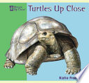 Turtles up Close cover