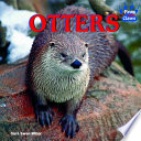 Otters cover