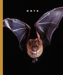 Bats cover