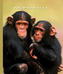 Chimpanzees cover