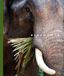 Elephants cover