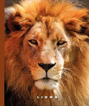 Lions cover