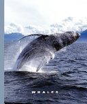 Whales cover