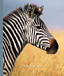 Zebras cover