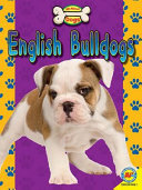 Bulldogs/English Bulldogs cover
