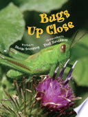 Bugs up Close cover