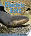 Electric Eels cover