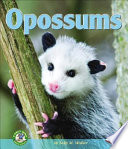 Opossums cover