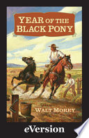 Year of the Black Pony cover