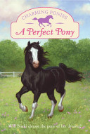 A Perfect Pony cover