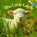 The Little Lamb cover