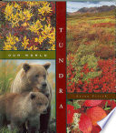 Tundra cover