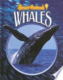 Whales cover