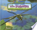 Speedy Dragonflies cover
