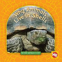 Why Animals Live in Shells cover