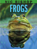Nic Bishop Frogs (Nic Bishop... Series) cover