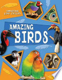 Amazing Birds cover