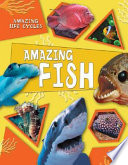 Amazing Fish cover