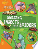 Amazing Insects and Spiders cover