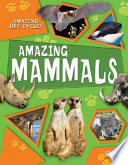 Amazing Mammals cover