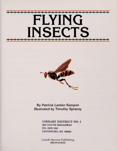 Flying Insects cover