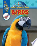 Birds cover
