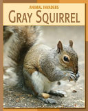 Gray Squirrel cover
