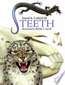 Teeth cover