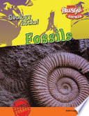 Fossils (Freestyle Express) cover