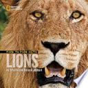 Face to Face with Lions cover