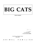 Big Cats cover