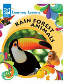 Rain Forest Animals cover