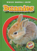 Bunnies cover