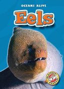 Eels cover