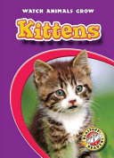 Kittens cover