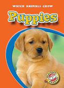 Puppies cover